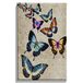 Homemania Muurfoto, motief: vlinders, voor woonkamer, slaapkamer, meerkleurig, 45 x 3 x 70 cm, HM20KNV45 x 70 – 179, polyester, hout