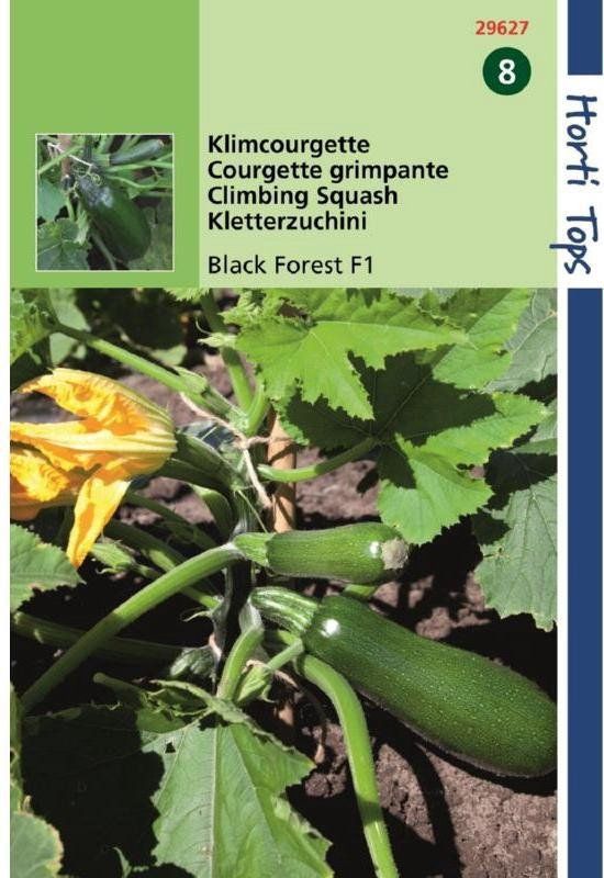 Hortitops Klimcourgette zaden Black Forest F1 - 8 zaden