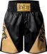 Benlee Boxershort Bonaventure 190074 Noir/Or 3XL