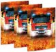 RNKVERLAG 45362-3 - Tekenmap On Fire 310 x 440 mm, 3 stuks, DIN A3, met elastische sluiting