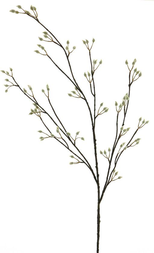 Erutan avon Pussy willow spray cream 120cm