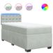 vidaXL Boxspringbed met matras, fluweel, lichtgrijs, 90x190 cm