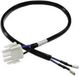 Schaudt 934118 EBL-Kabel Accukabel