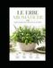 LE ERBE AROMATICHE: Guida completa alla coltivazione e all'utilizzo