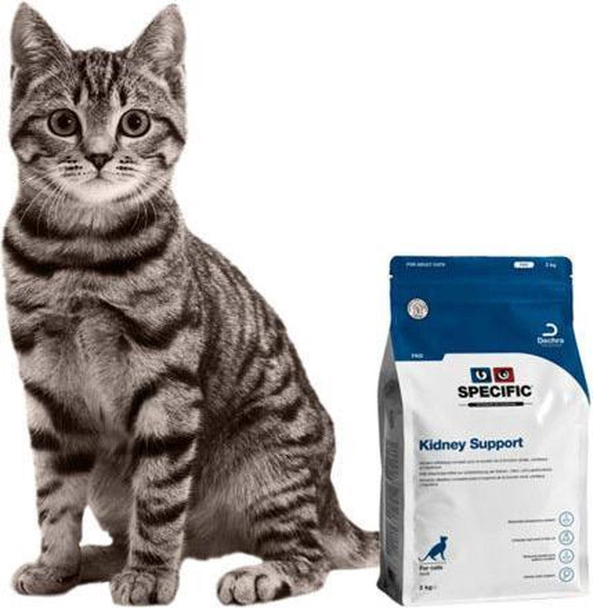 Specific FKD Kidney Support Kat 3x2kg