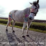Coast2Coast Indian Wars - Walk Around The Park (LP)