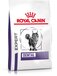 Royal Canin Dental - Kattenvoer - 3 kg