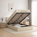 Prolenta Maison Exclusive - Lit Ottoman avec matelas et éclairage LED, couleur crème, 120 x 200 cm, revêtement en tissu