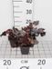 GRDplanten Groendecor Tuinarchitectuur 6x Purperklokje - Heuchera hybr. 'Obsidian' | 9x9 cm pot