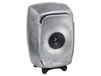 Genelec 8341 RAW
