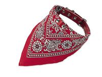 Nobby Halsband met halsdoek voor honden, rood, 70 cm