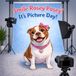 Smile Rosey Posey It's Picture Day!
