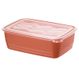 Rotho Eco Rechthoekige Magnetronbox 3,7 L Rood