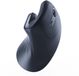 Gembird Ergonomische Draadloze Optische Muis - Verticaal Ontwerp Vermindert Polsbelasting, Ideaal voor Thuis en Kantoor, Verhoog Uw Productiviteit met Comfort en Precisie