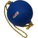 Trial Sportsbal Trial Special Medicine with Rope Guidance