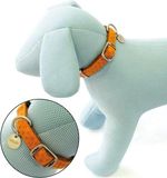CROCI Bol Vanity Halsband XS Beige Nylon Hond Klikhalsband 30-20 cm
