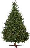 Our Nordic Christmas Kentucky - Artificial Christmas Tree with Lights Green 1.98m x 1.24m