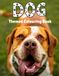 Paws to Colour: 36 Beautiful Dog Colouring Pages Created from Real Photographs