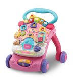 VTech Baby Walker - Roze - Meisjes - 9-36 Maanden - Educatief Speelgoed