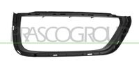 PRASCO Halter, Kühlergitter PR5042103 rechts | Compatibel met: PORSCHE CAYMAN