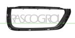 PRASCO Halter, Kühlergitter PR5042103 rechts | Compatibel met: PORSCHE CAYMAN