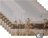 KitchenYeah Set van 6 placemats - Pampasgras - 45x30 cm - Hittebestendig - Antislip