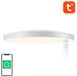 Gosund Plafondlamp 32cm Wifi Bluetooth RGB+CW Smart met Tuya afstandsbediening