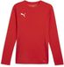 Puma TeamGoal shirt met lange mouwen 705750