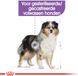 Royal Canin - Alimentation Chien Sec Sterilised Medium - 4 x 3 kg