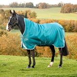 Amigo Bravo 12 Wug Medium 250g Couverture d'hiver pour cheval 130cm Vert