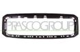 Prasco SK3222315 Frame, radiatorhoningraat