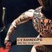 Bertus Distributie Gyroscope Are You Involved