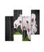 Homemania Wandfoto, motief: bloemen, 4 stuks, voor woonkamer, slaapkamer, meerkleurig, 76 x 0,3 x 50 cm, HM204PMDF194, MDF