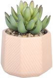 Sleepdown Halo Groene Kunstplant Vetplanten Roze Geo Pot voor Thuis Kantoor Badkamer Decoratie Interieurdecoratie Esthetiek