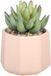 Sleepdown Halo Groene Kunstplant Vetplanten Roze Geo Pot voor Thuis Kantoor Badkamer Decoratie Interieurdecoratie Esthetiek