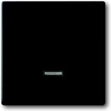 Busch-Jaeger Toekomstig Schakelelement/Centrale Plaat - 2CKA006599A2968