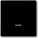 Busch-Jaeger Toekomstig Schakelelement/Centrale Plaat - 2CKA006599A2968