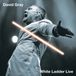 White Ladder Live - David Gray - LP - 2024