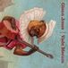 Konkurrent Glenn Jones - Vade Mecum (LP) (Limited Edition) (Coloured Vinyl)