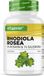 Vit4ever Rhodiola Rosea Extract - 120 capsules met 1000 mg
