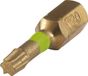 wolfcraft Embout diamant TORX T20