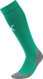Puma Teamliga Voetbalkousen - Groen | Maat: 39-42