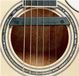 Fishman Rare Earth Humbucker klankoch PU - Pickup pour guitare acoustique