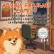 Nova's Faraway Family: A Four Language Multilingual Children's Book