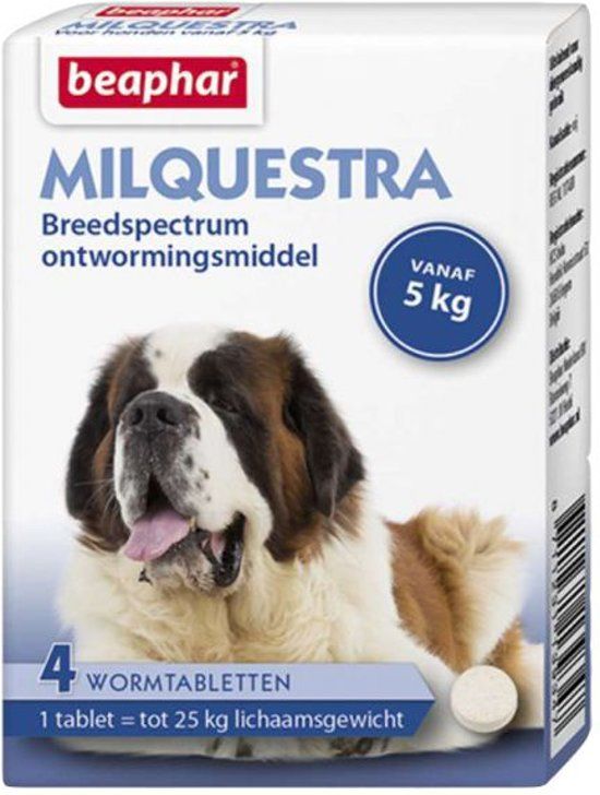 BEAPHAR Milquestra Hond - 4 TBL