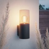 HOFTRONIC Blaze LED Wandlamp Smokey Glas E27 IP44 Zwart
