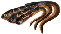 Fox Rage Slick Eel Burbot 21cm Burbot