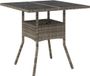 Poly Rattan Table de jardin avec plateau en verre 80x80x75 cm gris