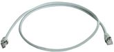 Telegärtner 100008577 RJ45 Netwerkkabel, patchkabel CAT 5e F/UTP 2.5 m Grijs