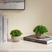 Unyqoos® set de 3 pièces de fausses plantes réalistes